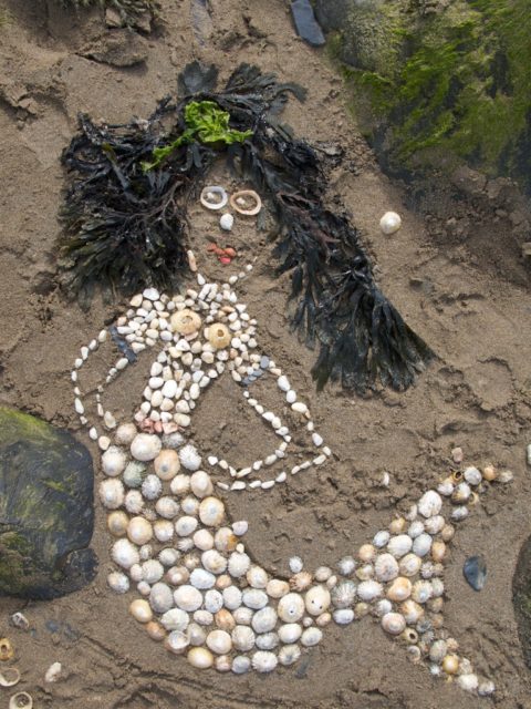 mermaid mermaid