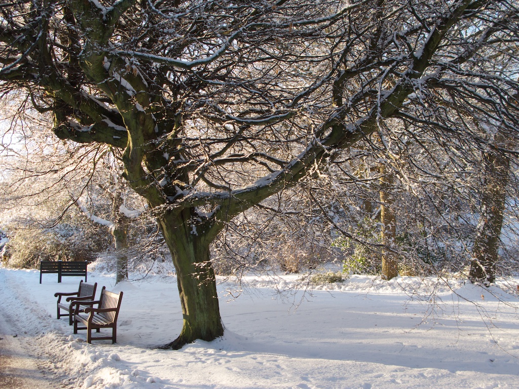 Snow this year