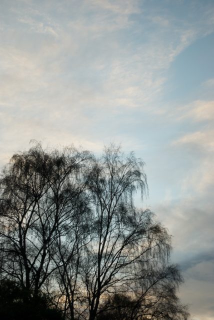 DSC_5318