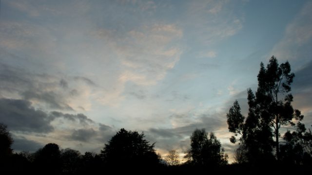 DSC_5328