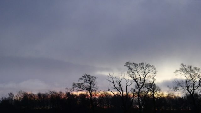 P1020560