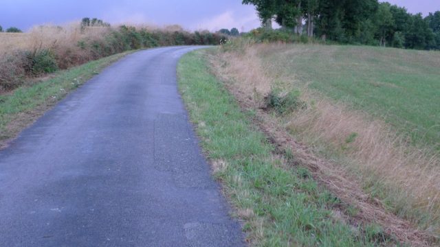 road (1)