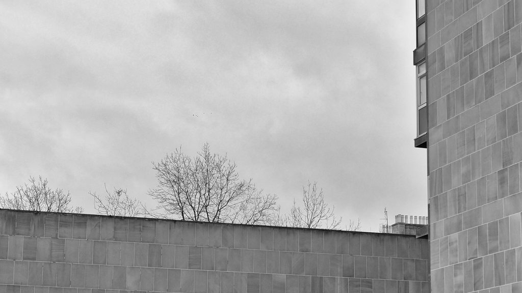 20160102-DSCF3517-Edit-2
