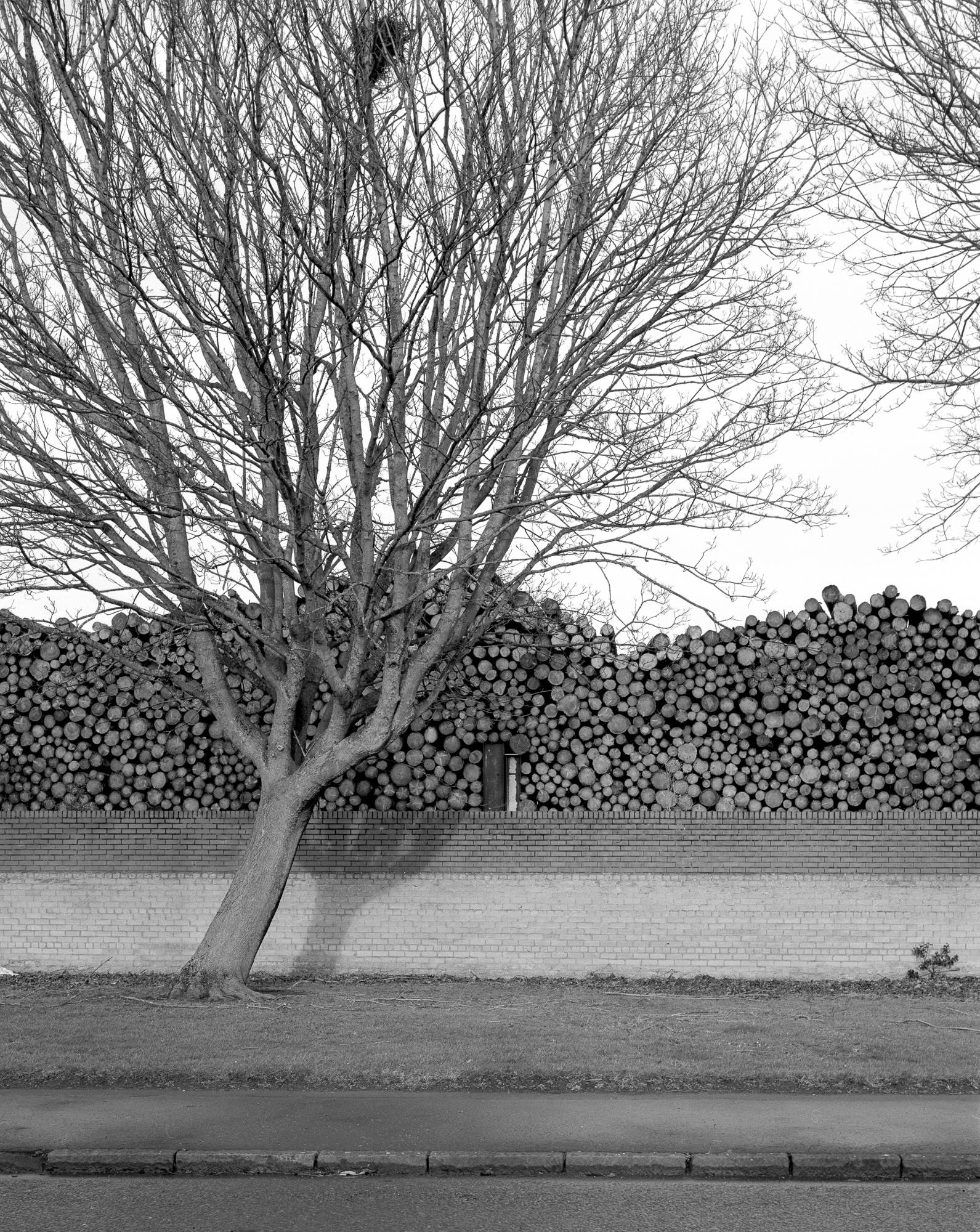 Antonine Wall, February 2025