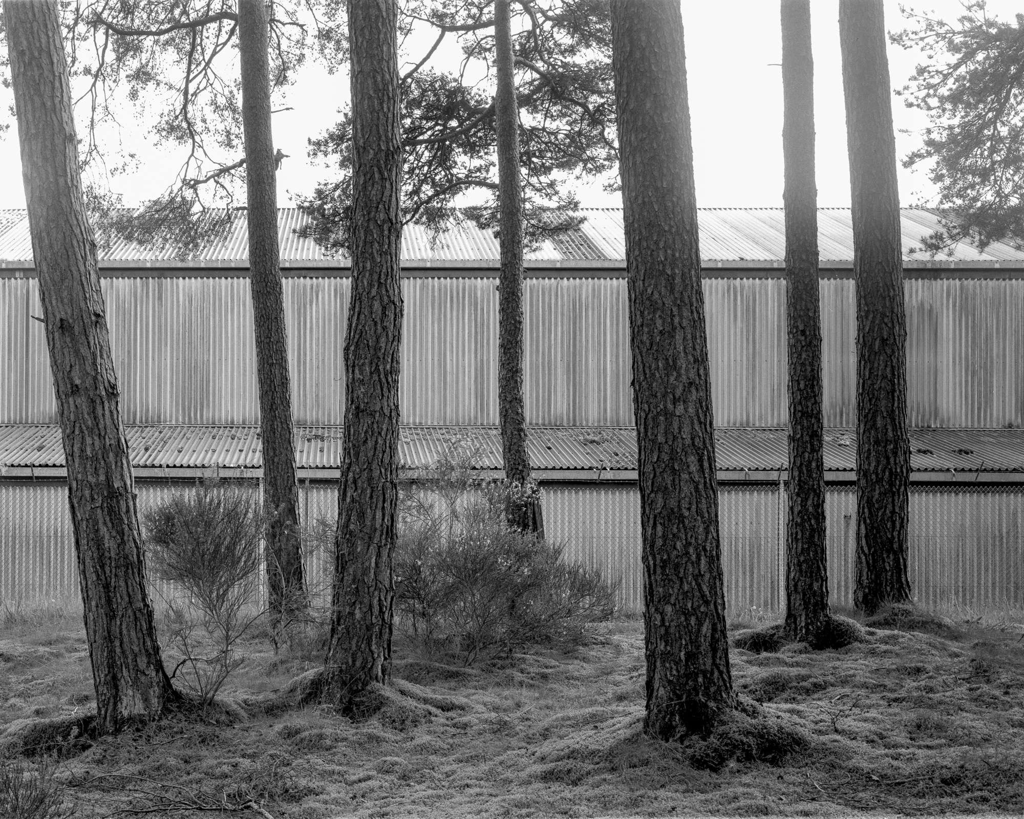 Generator shed, May 2025