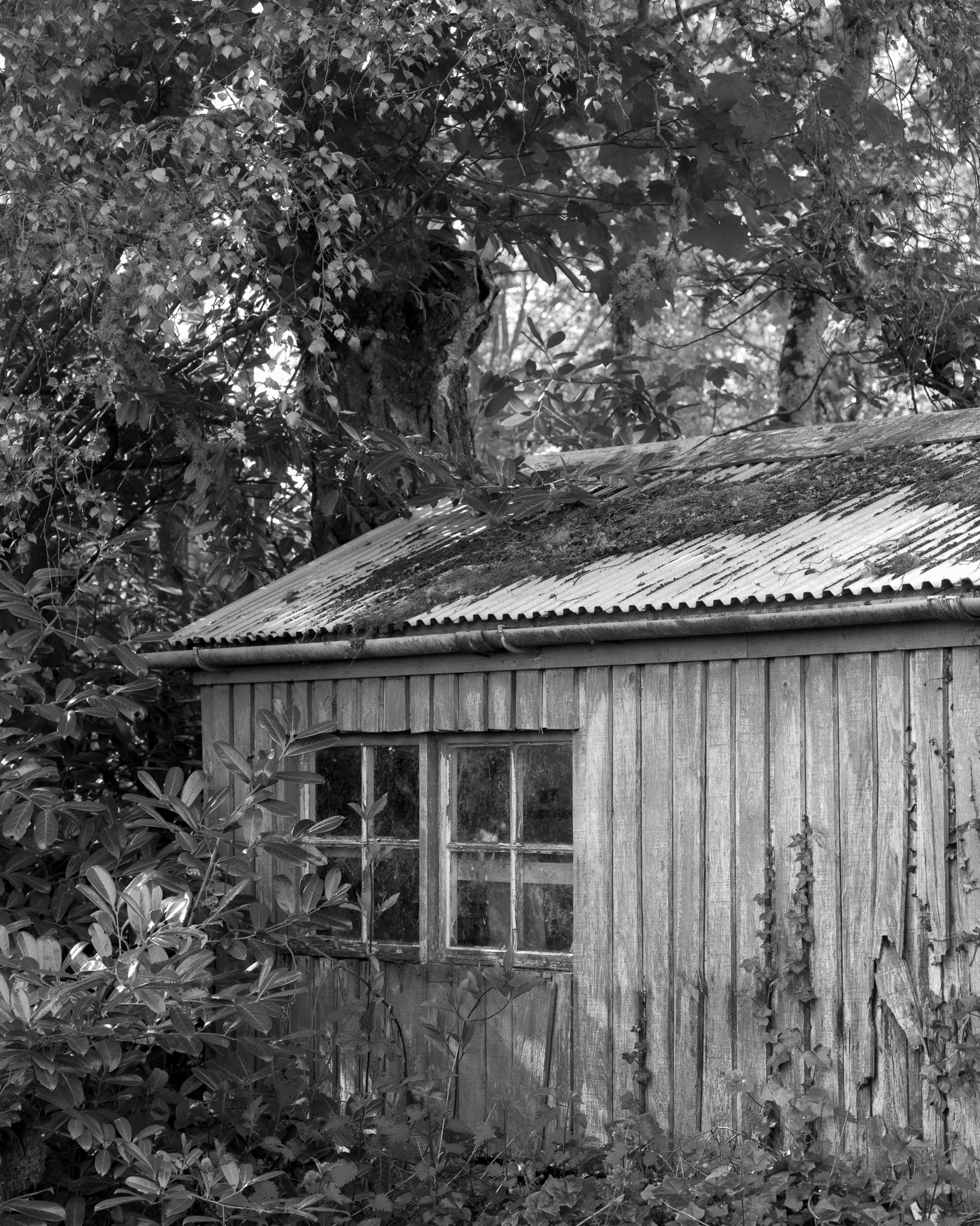 Domestic garage, Beauly, May 2025